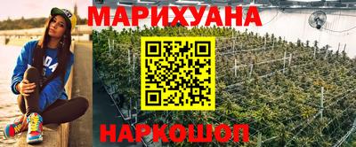 гидра Аша