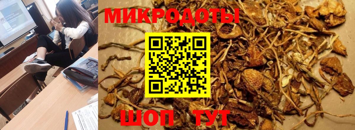 Галлюциногенные грибы Psilocybine cubensis  Вход с VPN  Железноводск 