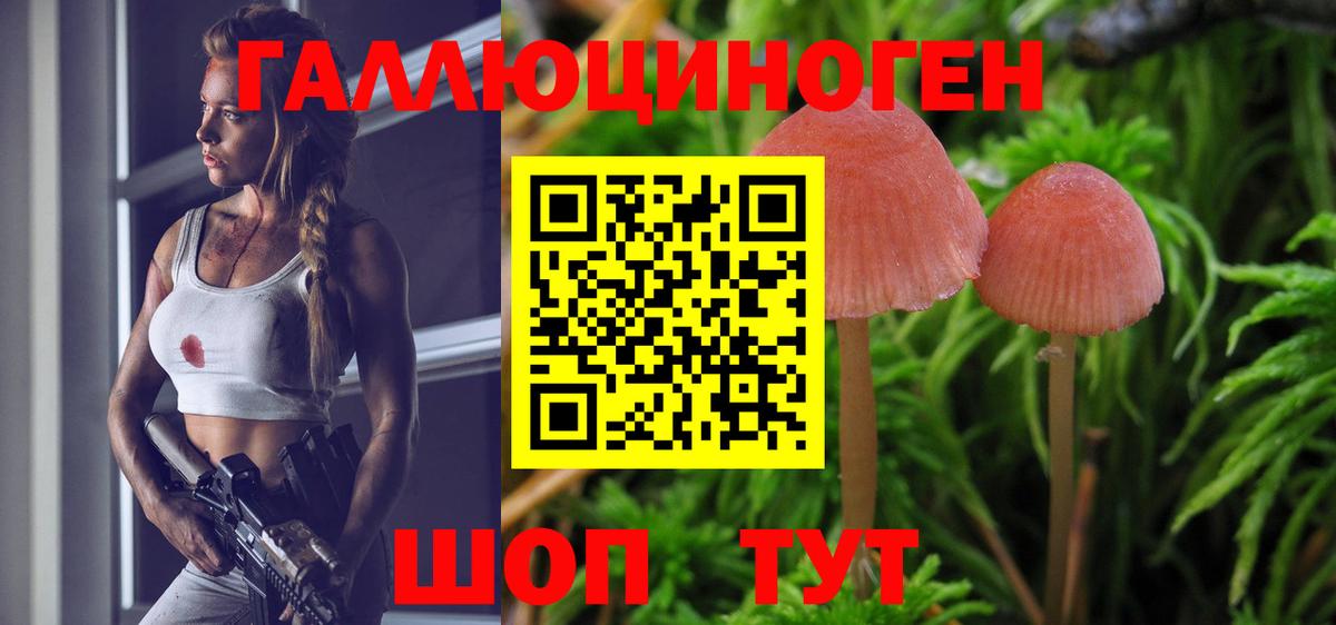Галлюциногенные грибы Psilocybe Железноводск